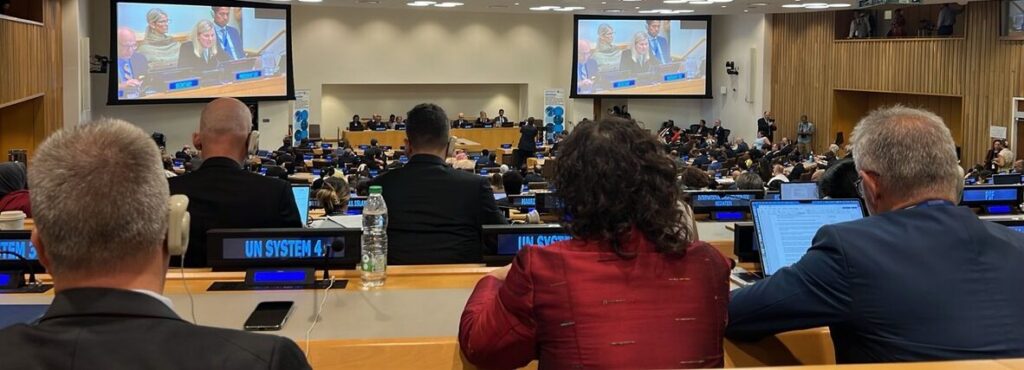 UN HLM on NCDs back of heads