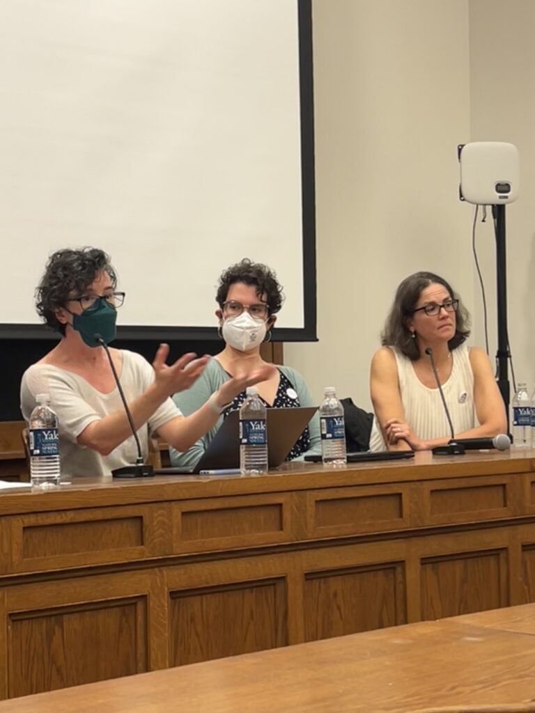 Three speakers with masks on on a panel.
