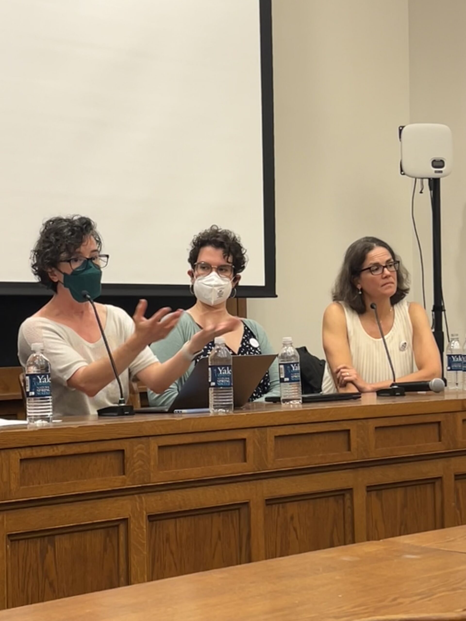 Three speakers with masks on on a panel.