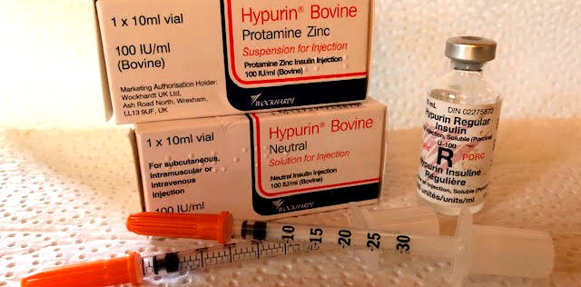 animal insulin vial