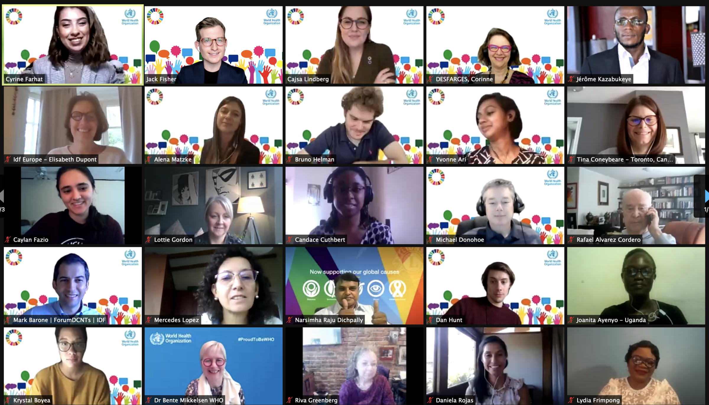 WHO PLWD Consultation Group Photo