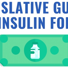 Launch of U.S. State Legislative Guide for Insulin for All