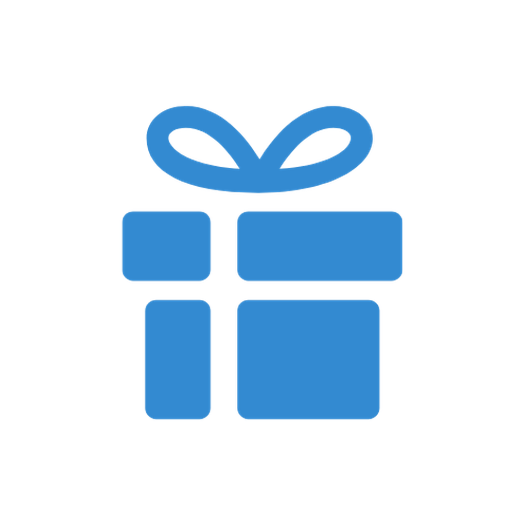 Present Icon