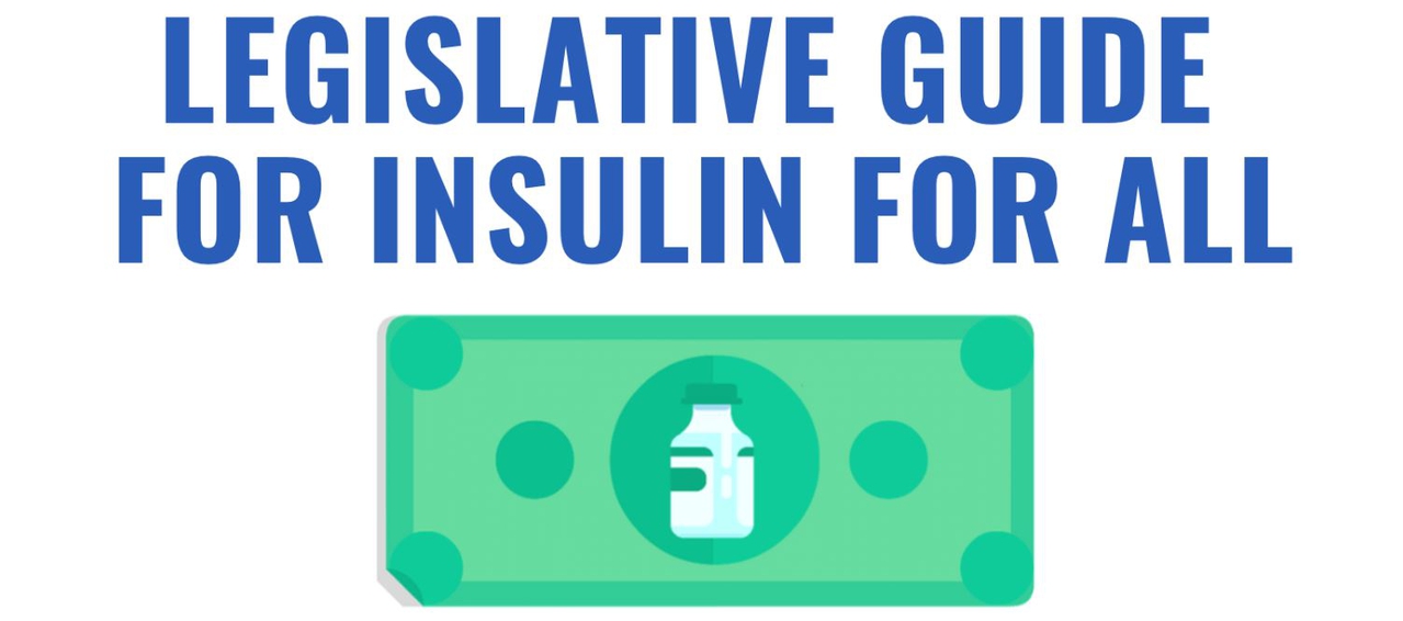 Launch of U.S. State Legislative Guide for Insulin for All